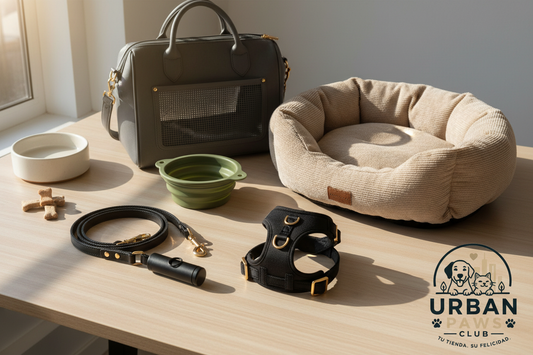 Los accesorios imprescindibles para tu mascota urbana